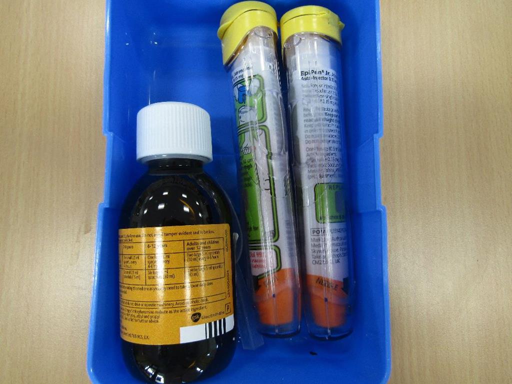 P1 Year Group Promote Anaphylaxis Awareness