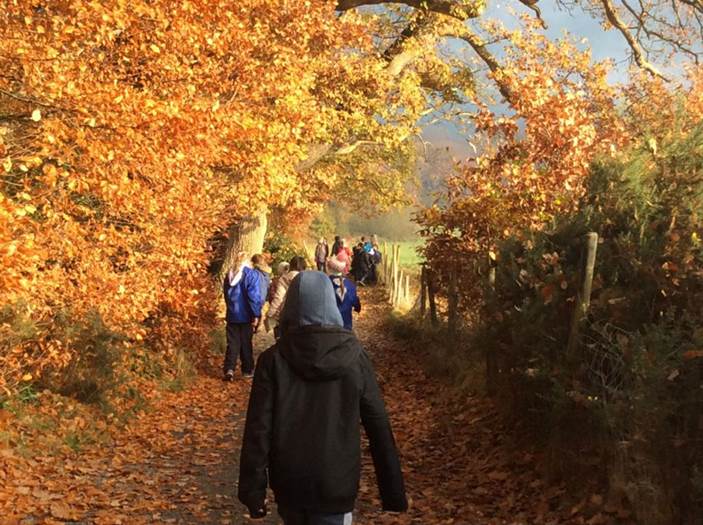Primary 6 visit Kilbroney Park