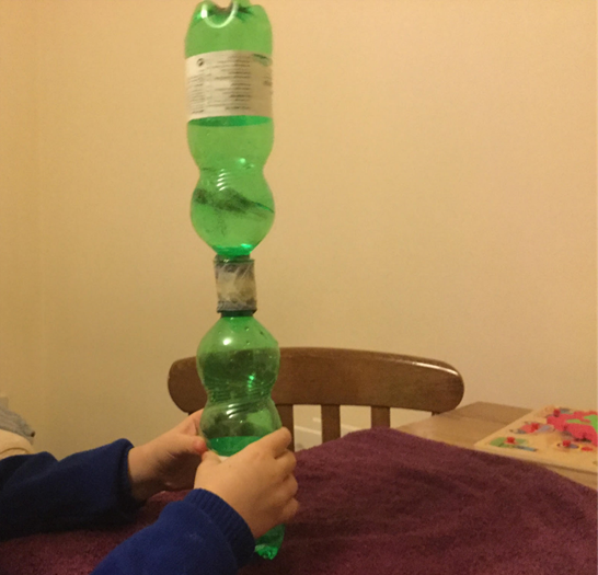 Home grown scientist