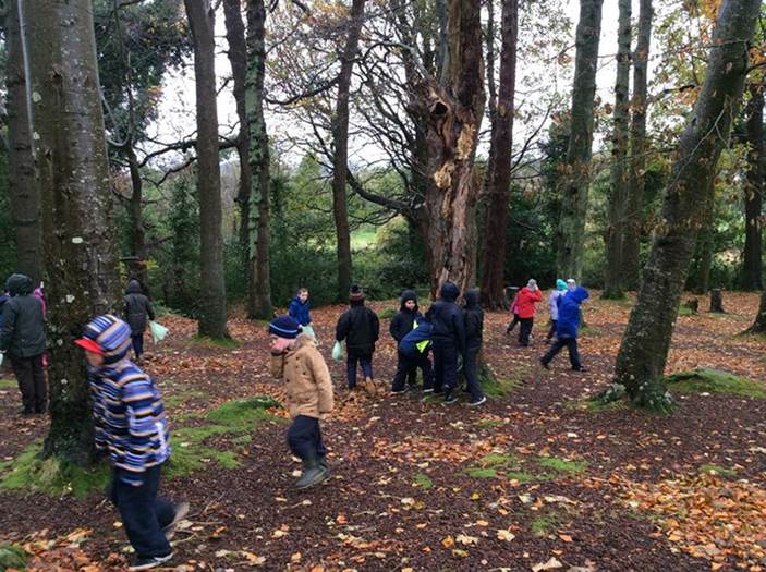 P6 Visit Kilbroney Park & Cloughmore Centre