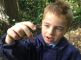 Mrs  Curran’s P3 class explore our forest!