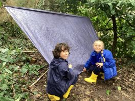 Half Term in Primary 4 Mr McCreesh