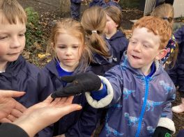 P3 Adventures in the Outdoors