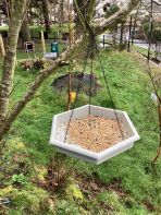 Recycled Bird Feeders and New Wildlife Homes Across Our School
