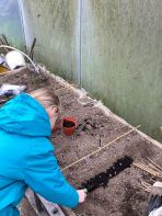 P5 Get Growing in the Poly Tunnel