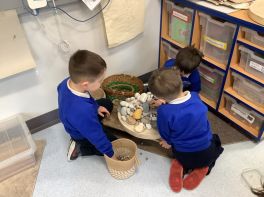 January and February in P2 Miss Rocks