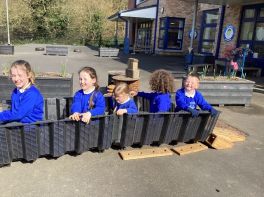 P3\'s activities in March