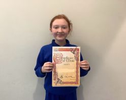 P7 Fèis Success