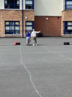 🚴‍♂️ P7 Shine in Cycling Proficiency Training