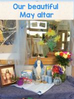 May Photos Nursery 