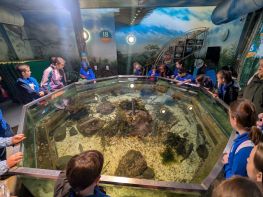 Primary 6 Dive into Adventure at Exploris!
