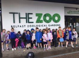 P3 School Trip to Belfast Zoo
