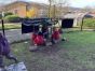 Play Based Learning in Miss Caughey’s class Term 2 