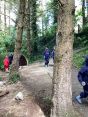 Construction and forest work